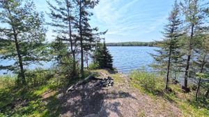 Campsite 1210