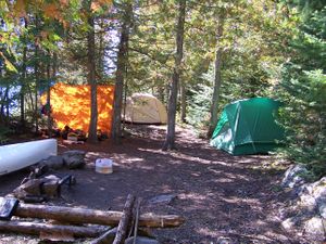 Sunny Day at Camp