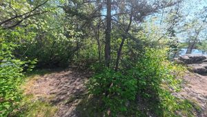 Campsite 1212