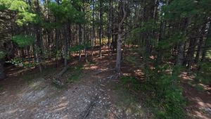 Campsite 1205