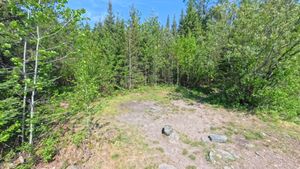 Campsite 1223