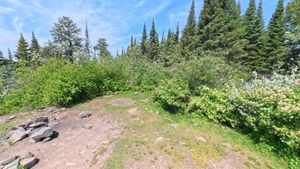 Campsite 1264