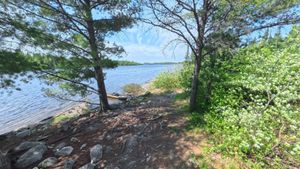 Campsite 1264