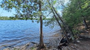 Campsite 1302