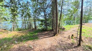Campsite 1302