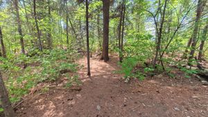 Campsite 1302