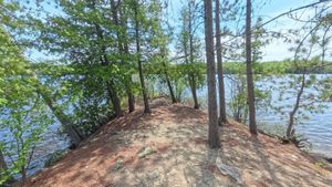 Campsite 1302
