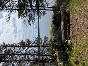 Campsite 1091