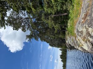 Campsite 1089
