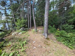 Campsite 1089