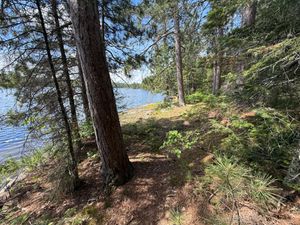 Campsite 1089