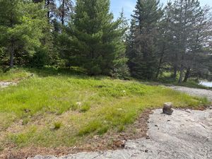 Campsite 1101