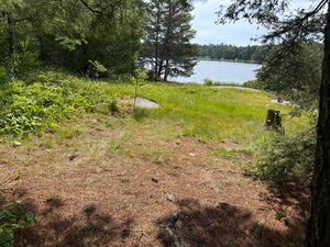 Campsite 1101