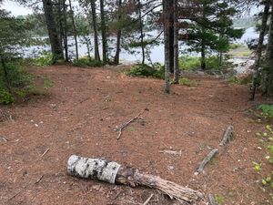 Campsite 1100