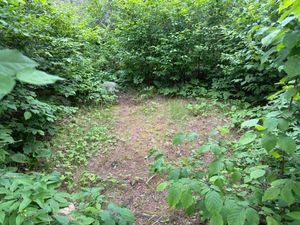 Campsite 1100