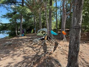 IMG_2993.jpeg