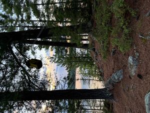 Campsite 1102