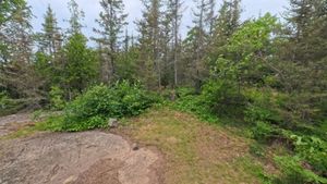 Campsite 1242