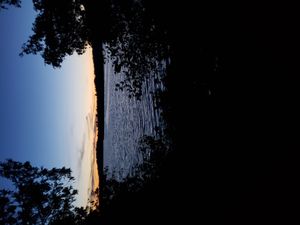 20190906_201704.jpg