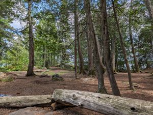 campsite 991
