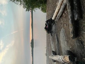 Campsite 2196