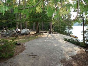 Oyster Peninsula Campsite
