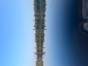 Campsite 1198