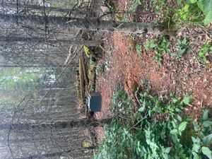 Campsite 1505
