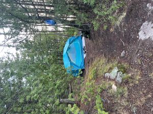 Campsite 2196