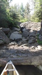 Portage 481