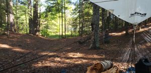 Morning View