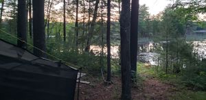 Evening
