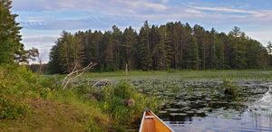Low water