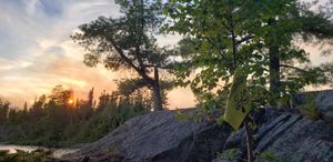 The flag is back in Quetico