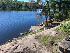 Campsite 1138