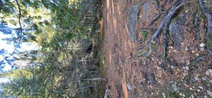 Campsite 682