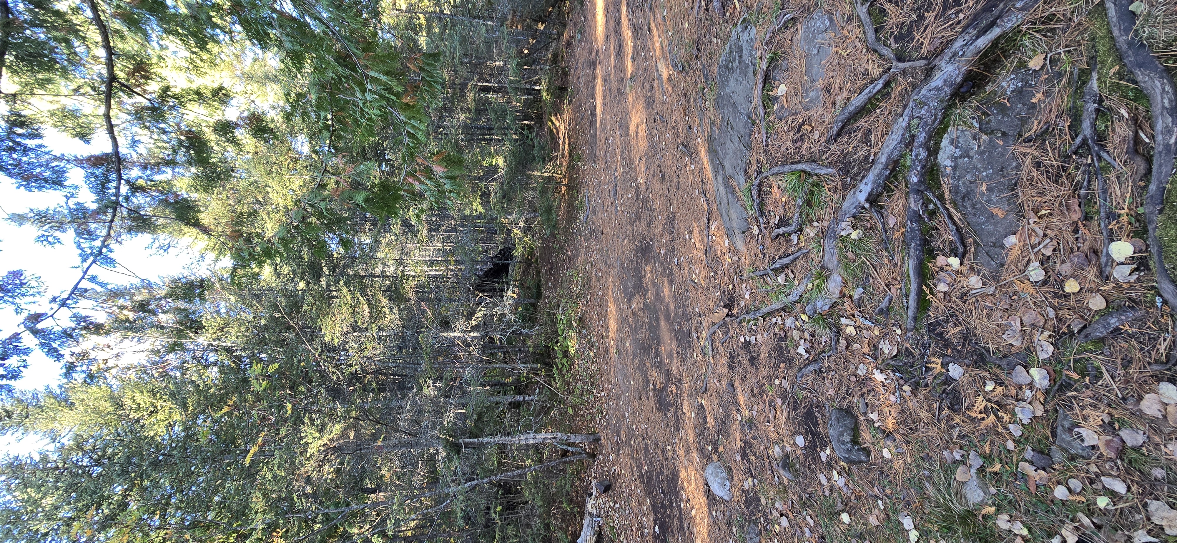 Campsite 682