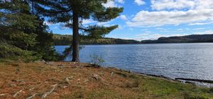 Campsite 682