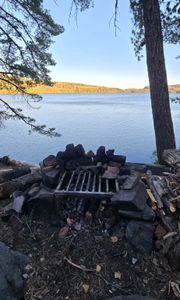Campsite 682
