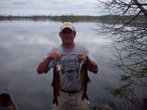 Paulson Lake Trout