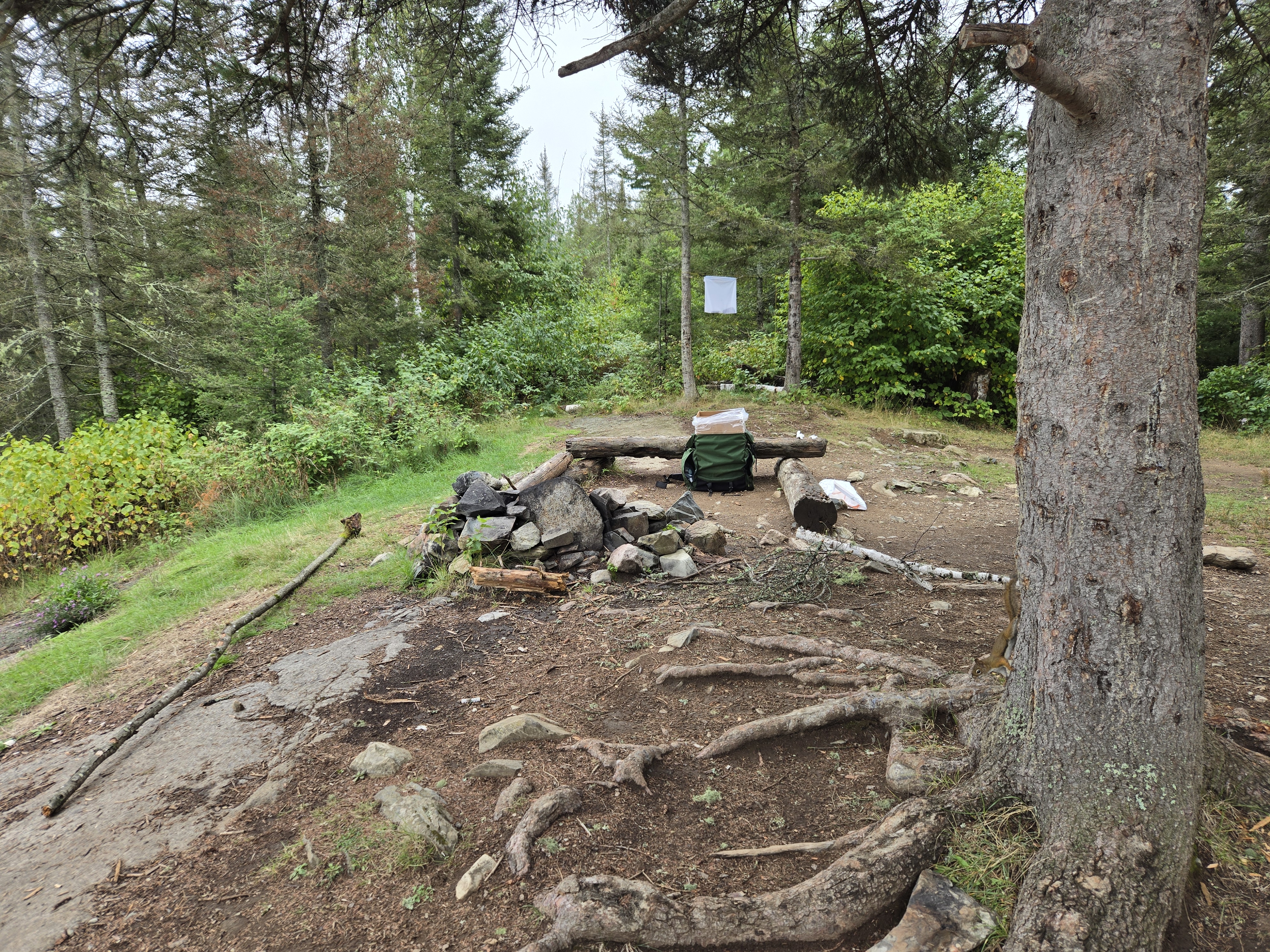 View of kitchen at middle campsite on Jordan River