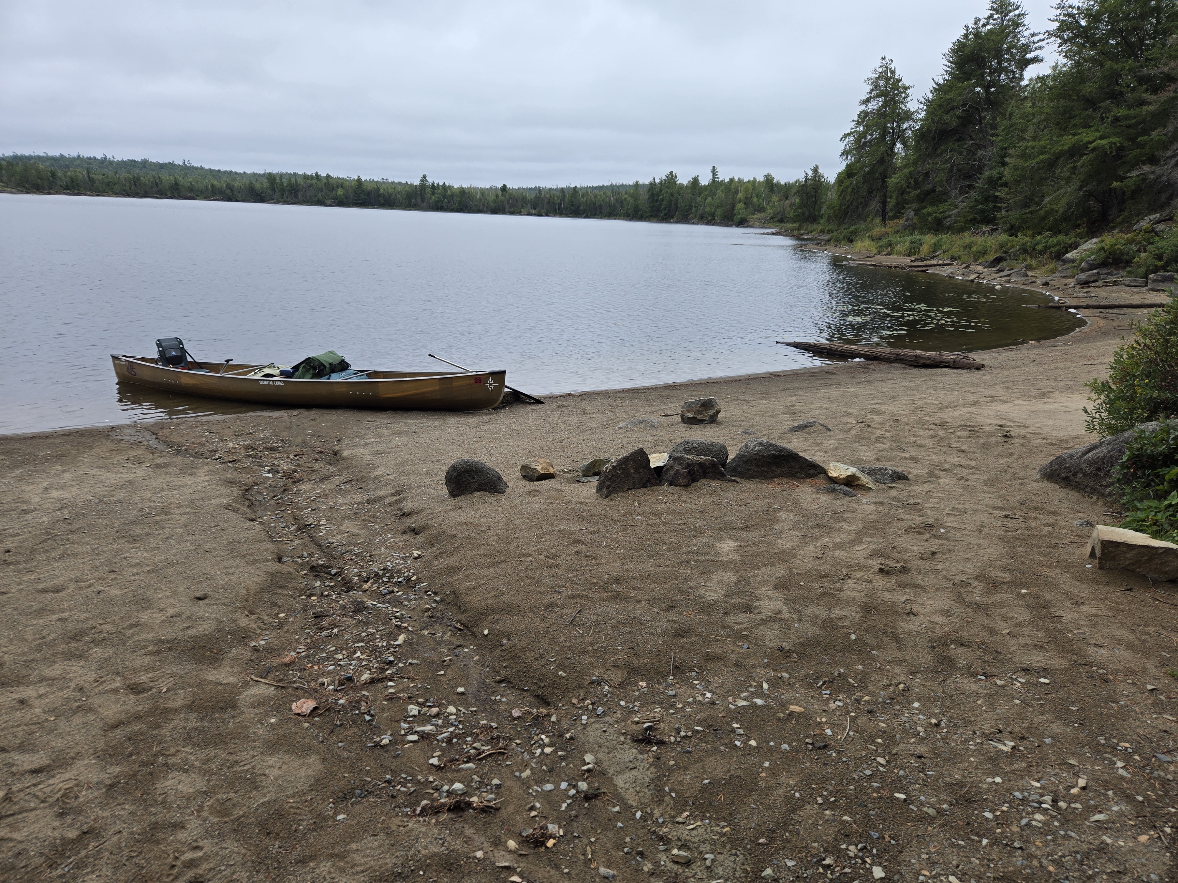 Large beach at northern site on Jordan Lake