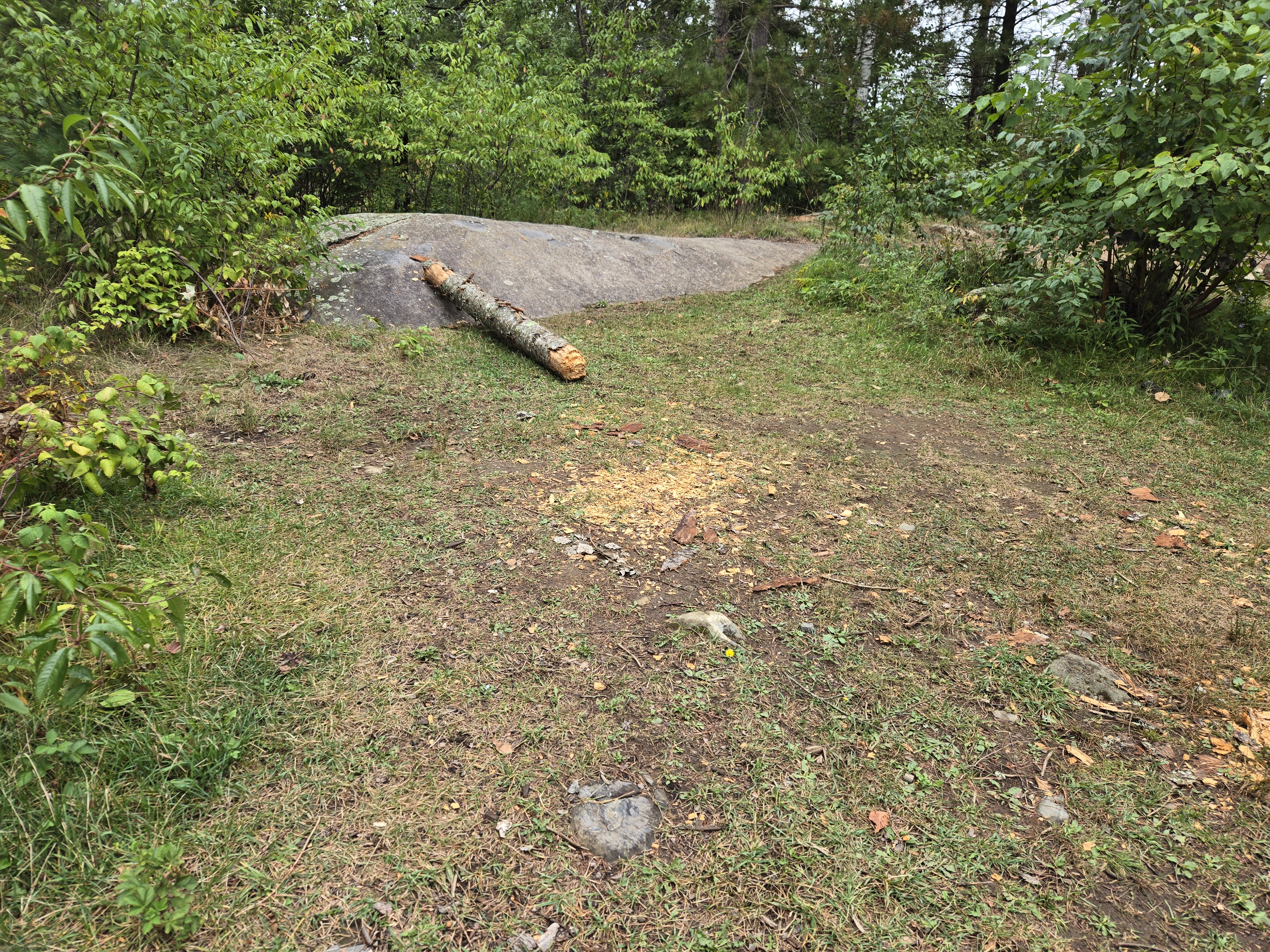 Possible tent pad