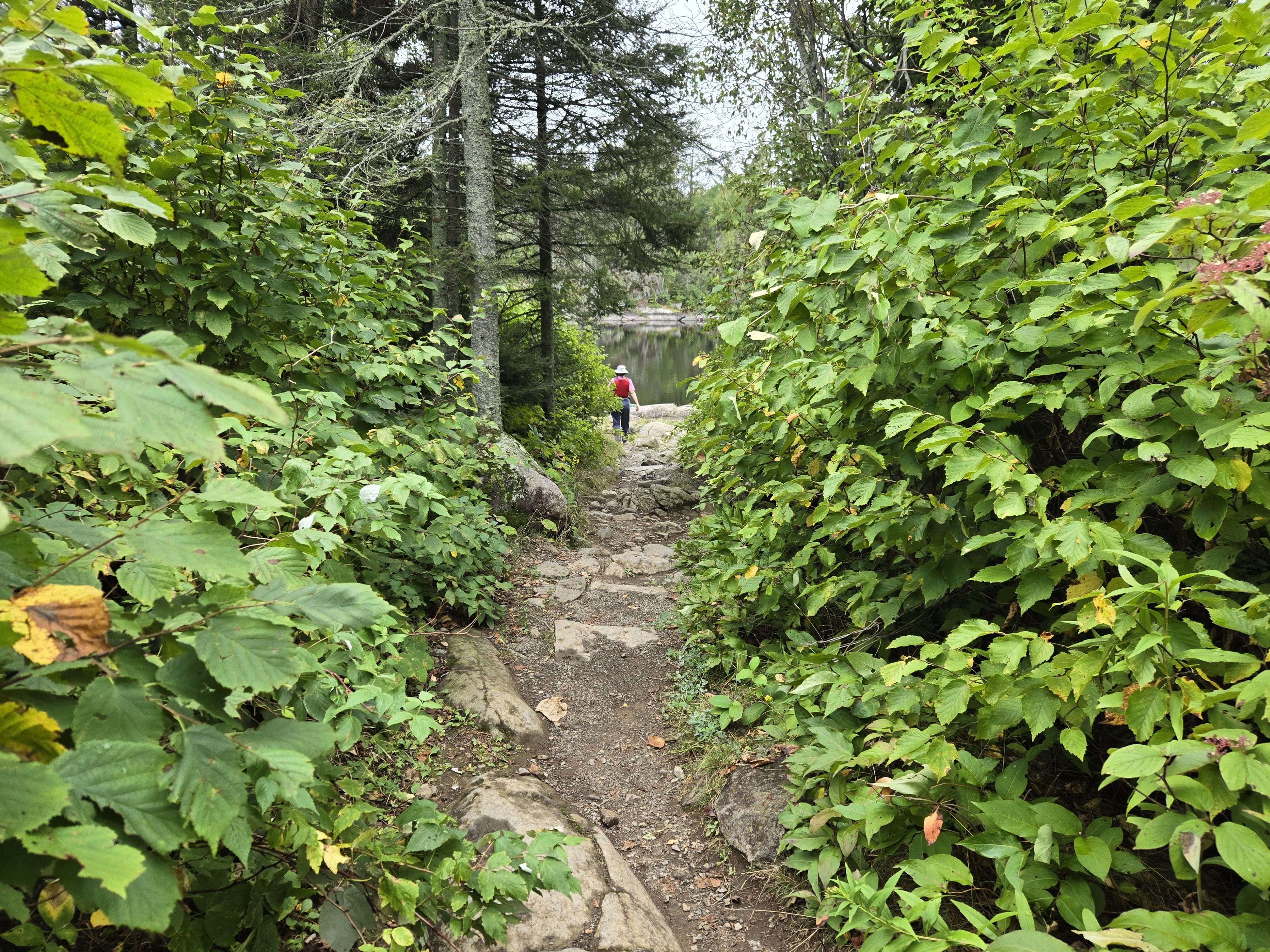 Slightly uneven trail to Ima