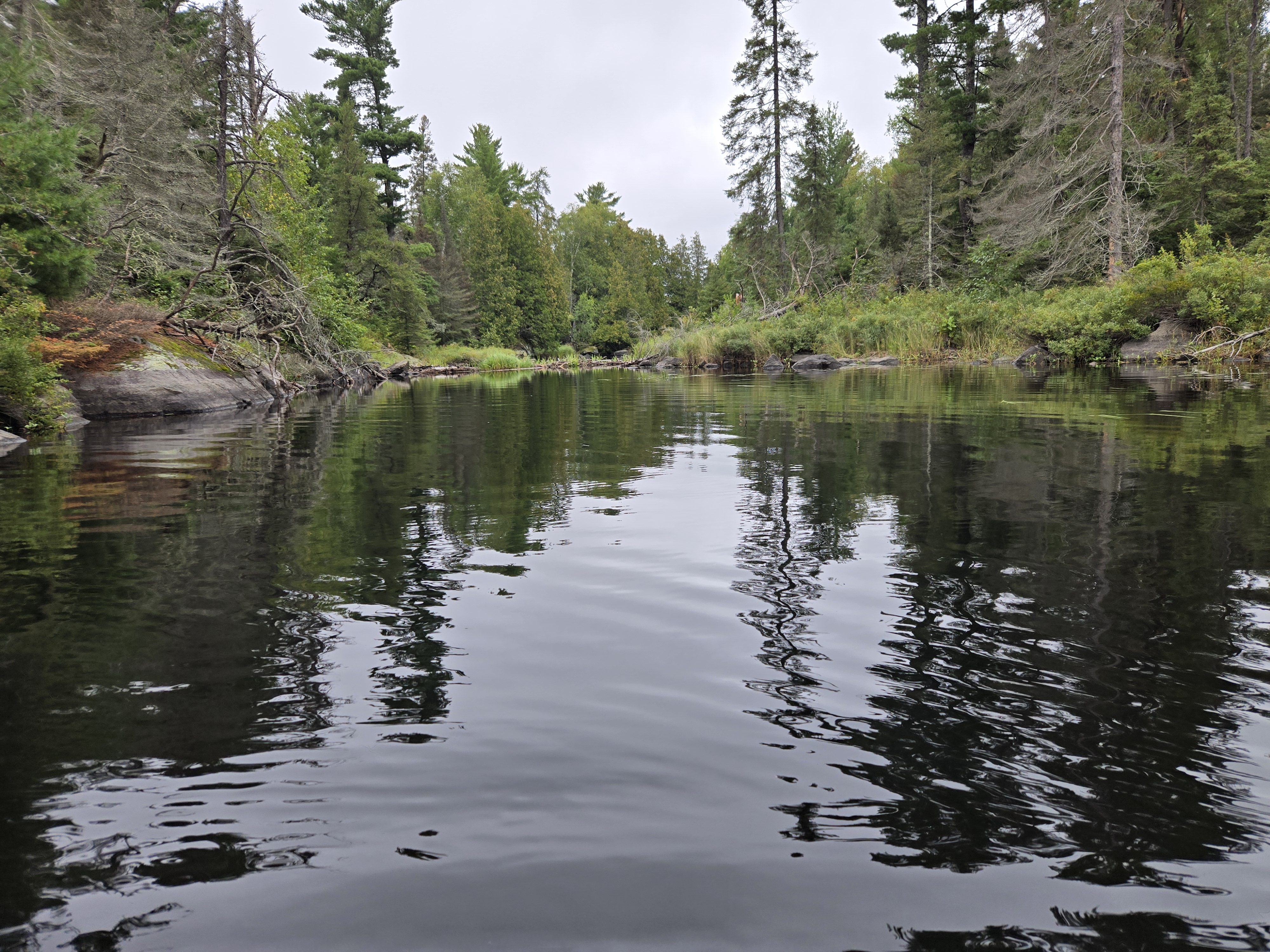 Beaver dam adjacent to portage