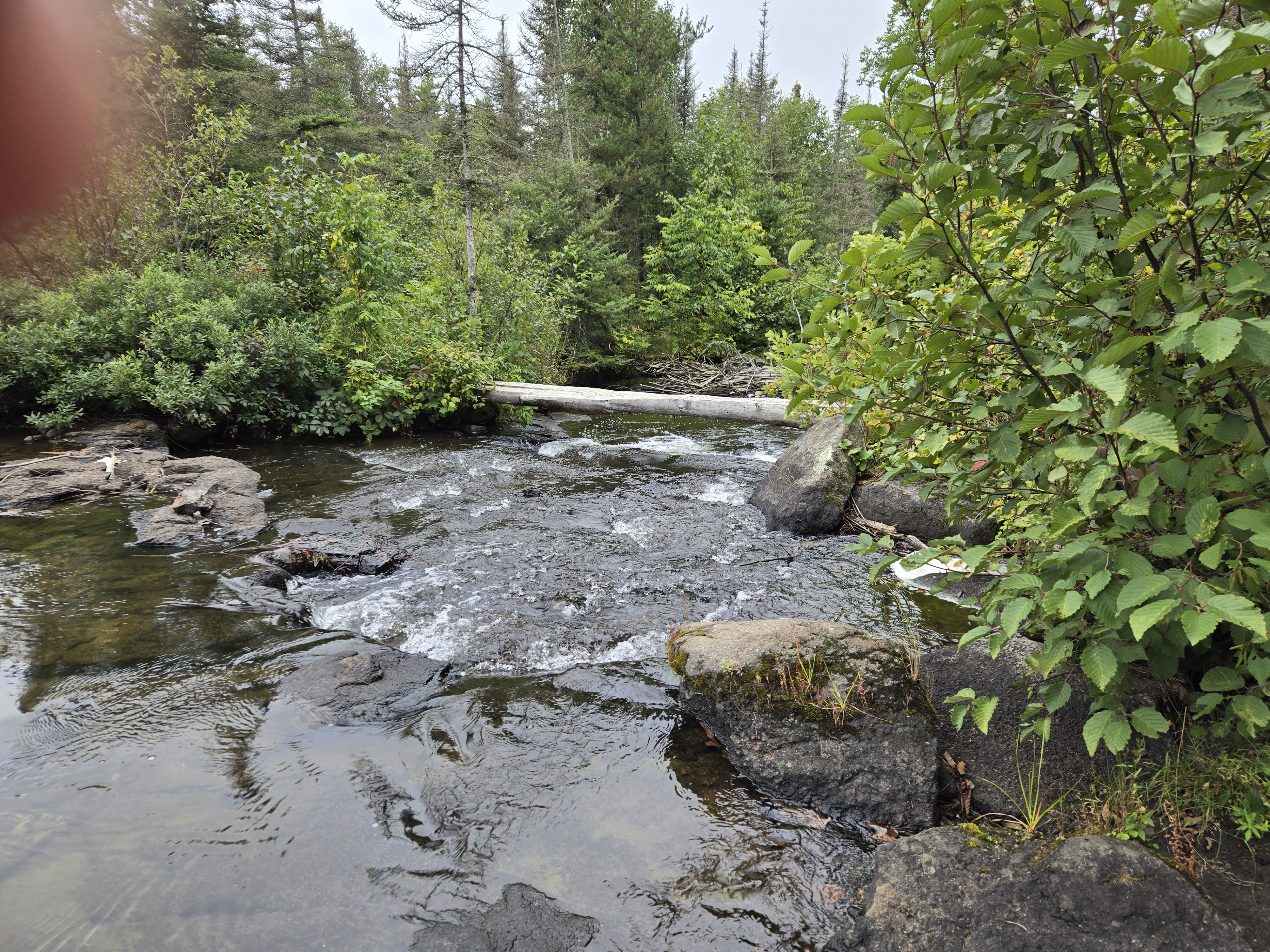 Kekekabic Trail crossing