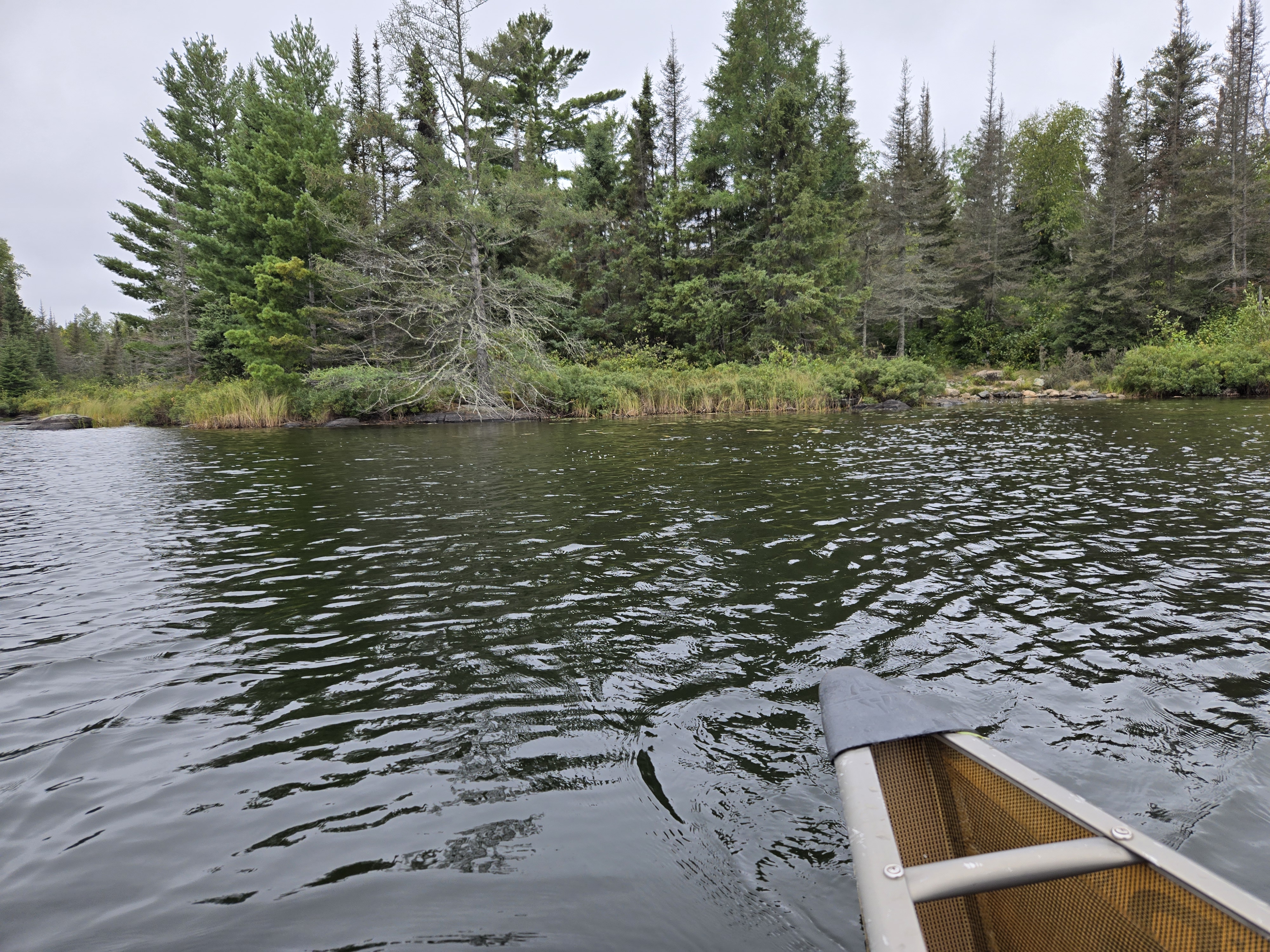 Poor choice to not portage the whole way