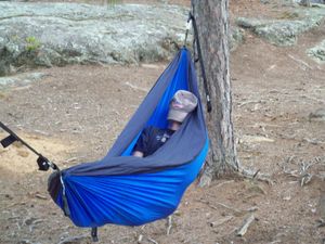 Resting