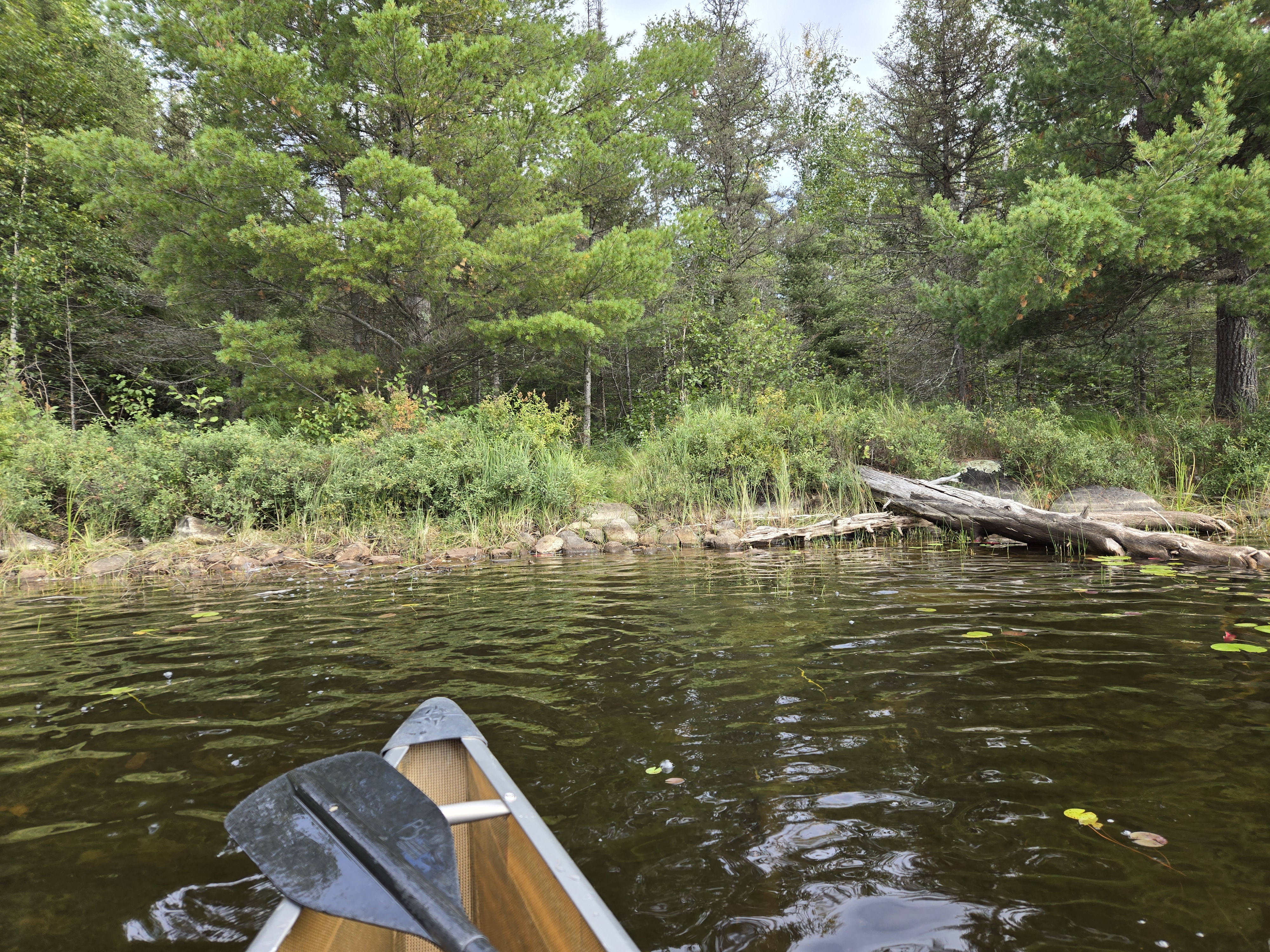 Almost invisible portage to indiscriminate lake.