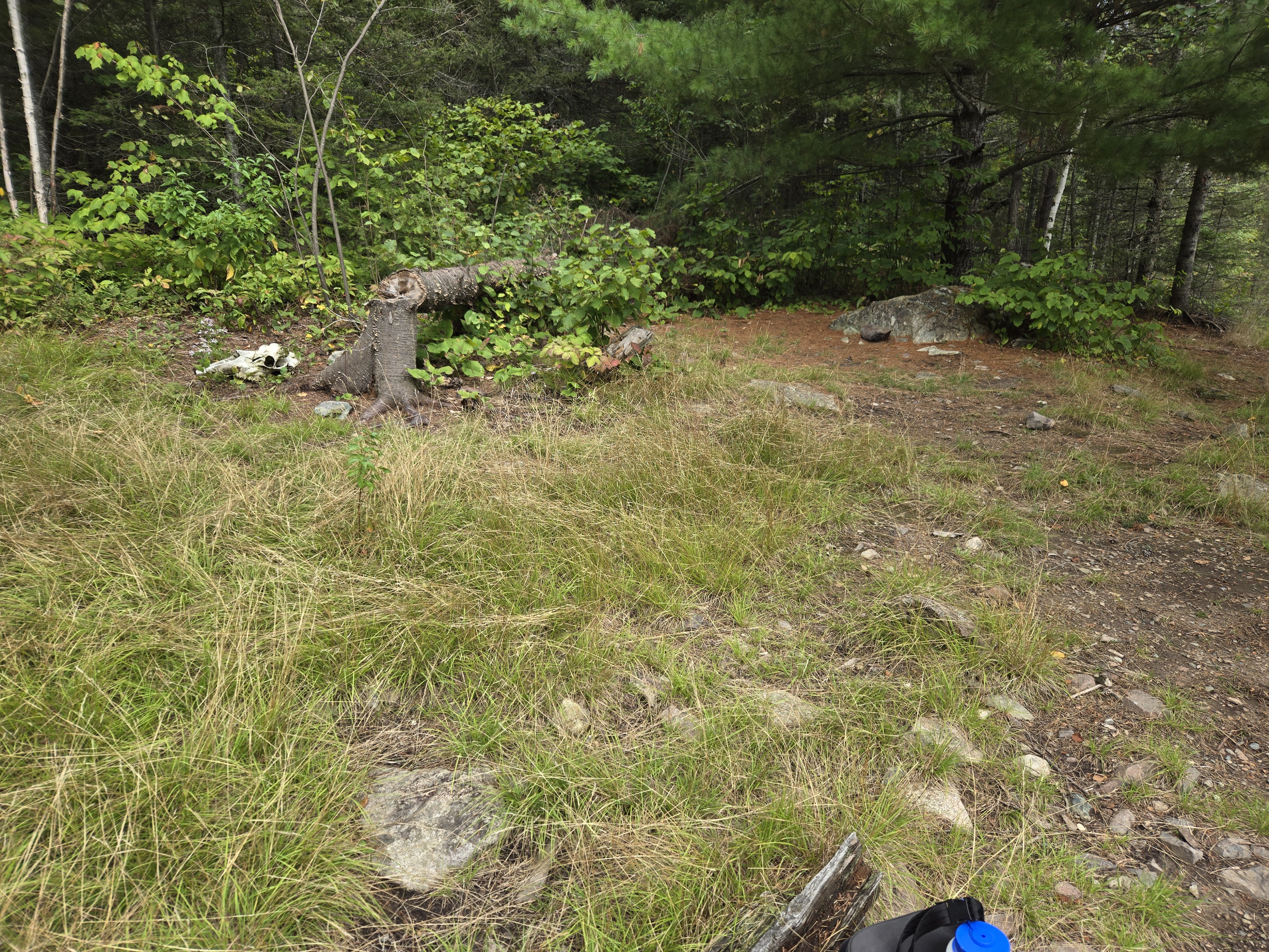 Closest thing to a tent pad